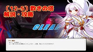 〔Elsword_JP〕12-5 歎きの塔.解説攻略