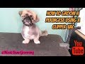 How to groom a pekingese using a clipper vac