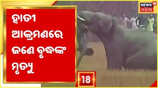 Deogarh Elephant Story: Kalakatha Village Kisan Sahiରେ ବୃଦ୍ଧଙ୍କୁ ଦଳିଦେଲା ହାତୀ