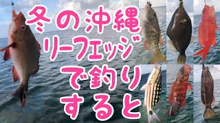 冬でもリーフエッジまで行ったら釣れた件　沖縄釣り　ルアーフィッシング　lule fishing ワールドシャウラ　ツインパワーXD パワークラブ