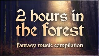 Two hours in the Forest, Celtic fantasy folk music.