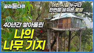 친구들과 뛰어놀며 꿈꿨던 나만의 비밀 아지트 50대가 돼서야 드디어 완성했다!│산불을 피하기 위해서 지은 나무로 된 비밀 기지?│나만의 비밀 나무 기지│숲이 그린 집│#골라듄다큐