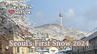 First Snow in Seoul 2024: A Tranquil Nature Escape