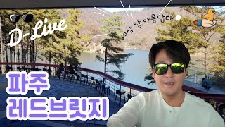 [미남의 일요 D-Live] ♥  파주 레드브릿지로 / 뷰맛집 카페