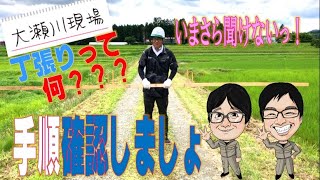 大瀬川現場【丁張り手順確認】