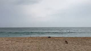 SILENT BEACH Sri lanka