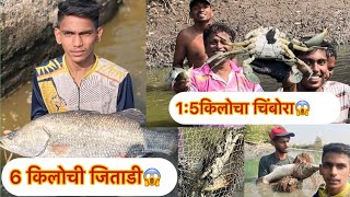 पेरा ओढून पकडल्या मोठ्या जिताड्या आणि भेटला 1.5किलोचा चा चिंबोरा😱🦀 | Barramundi | big mud crab |