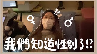 [VLOG] 男生or女生?我們終於知道Baby的性別啦!!小巴西心臟爆裂的一天!? 懷男生女生真的有徵兆嗎?｜Lizzy Daily