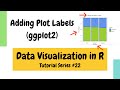 Plotting in R using ggplot2: Adding plot labels (Data Visualization Basics in R #22)