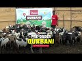 Make Your Qurbani Meaningful