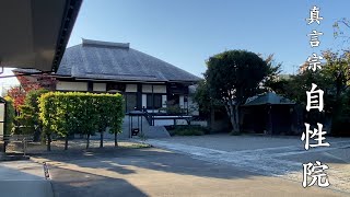 新宿区西落合１丁目にある真言宗のお寺【自性院】