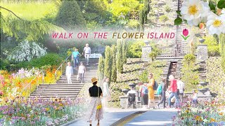 A flower paradise floating on Germany's largest lake 🌷 I walked on Mainau Island｜Travel Vlog｜