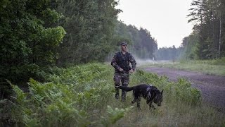 Наплыв нелегалов в Литве: Лукашенко отпустил мигрантов в Европу?