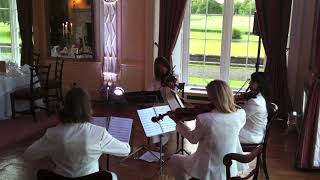 Mamisa String Quartet