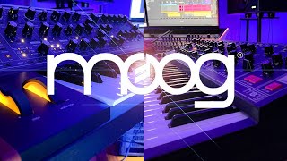 Moog sub 37 and matriarch