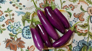 एक बार छोटे बैंगन की यह सब्जी बनाकर देखें लोग आपकी तारीफ करेंगे/🌾 Brinjal मसलविल 🥞/Village vlog 🤪