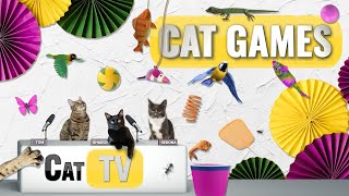 CAT Games | Ultimate Cat TV Compilation Vol 67 | 2 HOURS 🐝🐞🦋🦎🦜🐜🐭🧵