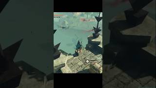 Hyrule Castle Moat East Chasm #shorts #zelda #totk