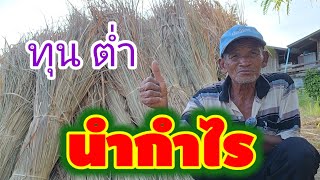 คุณลุงวัย 70 สร้างหลังคา จากภูมิปัญญา ต้นทุนต่ำนำกำไรงาม