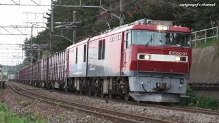 江差線 釜谷駅 貨物列車 EH500-51 通過 2013.5.18