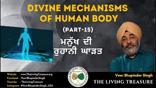 Divine Mechanisms of Human Body- Part-15 | ਮਨੁੱਖ ਦੀ ਰੁਹਾਨੀ ਘਾੜਤ |Short video by Veer Bhupinder Singh