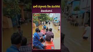 భారీ వర్షాలకు నీట మునిగిన విజయవాడ #vijayawadafloods #vijayawadarains #shorts #youtubeshorts