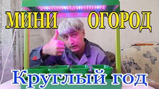 Мини Огород ВОЛТЕРА. Фито Огород. Проращиватель для рассады..