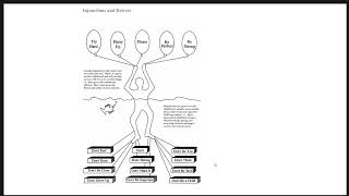 Drivers and injunctions, a short introduction