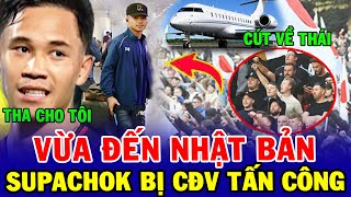 Supachok Bị CĐV Sapporo Tấn Công Khi Quay Lại Nhật Bản, Chủ Tịch Ra Quyết Định Thanh Lý!