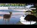 KEINDAHAN PULAU PEUCANG || Taman Nasional Ujung Kulon