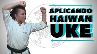 Aplicações - Aplicando o Haiwan Uke - Karate Shotokan