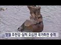 2024. 1. 1 원주mbc 영월 주천강·삼척 오십천 국가하천 승격