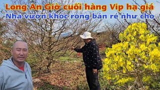 Long An giờ cuối hàng khủng giá rẻ bèo nhà vườn bán rẻ như cho