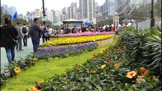 2019-Mar-18【香港記錄】#HongKongWalk 香港花卉展 Hong Kong Flower Show @ Victoria Park