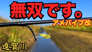 アメバイブのポテンシャル120%引き出すとこうなりますw【バス釣り】