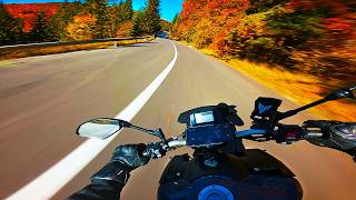 A bit of autumn colors | POV Ride | RAW Sound [4K]