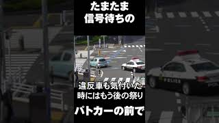 パトカーの前で堂々と赤信号に突っ込む違反車が...#shorts