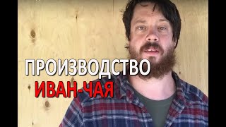 Производство иван-чая!