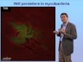 John McKinney (EPFL) Part 3: Phenotypic Heterogeneity and Antibiotic Tolerance