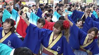 2018東京よさこい(ＲＨＫ大河)霊波之光本部北部地域青年部