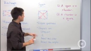 Rectangle and Square Properties