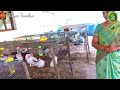 மாடித்தோட்டத்திற்கான பதப்படுத்தப்பட்ட இயற்கை முயல் உரம் natural fertilizer kovai tamilam