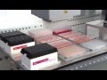 15 µl MCA384 500µl MCA96