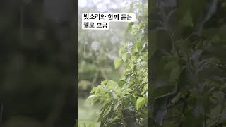 빗소리와 함께 듣는 첼로 BGM, 청량감 100%