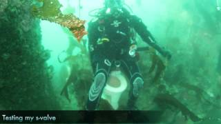 SCUBA Diving: Ruby E Wreck (9/2)