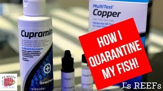 How To Quarantine Saltwater Fish