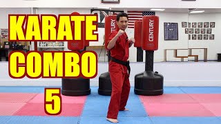 KARATE Lesson 13 - KARATE COMBO 5