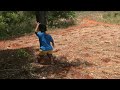 3 FEET TALL WOMAN FARMING IN JAMAICA / 47 YEAR OLD WOMAN FARMING IN JAMAICA/ SMALLEST FEMALE FARMER