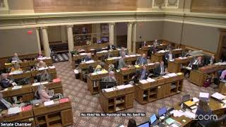 Senate Floor Session-Day 19, February 7, 2025-AM