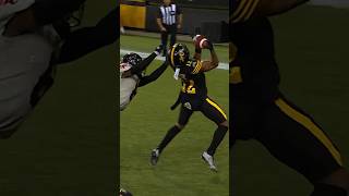 Tim White adjusts to haul in a perfectly placed touchdown pass from Bo Levi Mitchell #cfl #football
